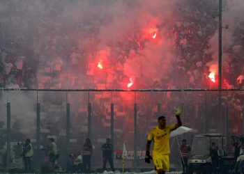 bengalas-colocolo