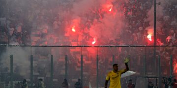 bengalas-colocolo